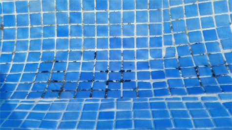 manchas de algas en las juntas del gresite de la piscina