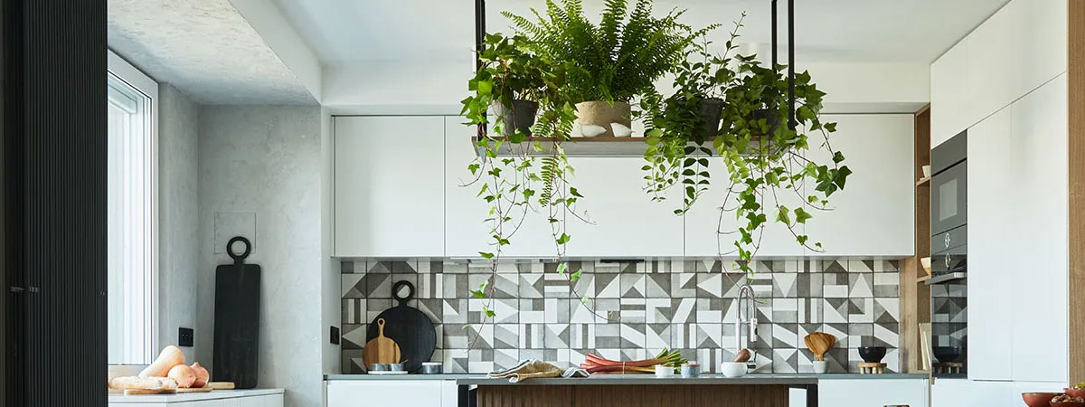 decoración paredes cocina con plantas