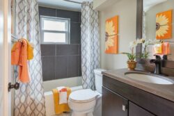 Cortinas para baño: Soluciones prácticas y decorativas